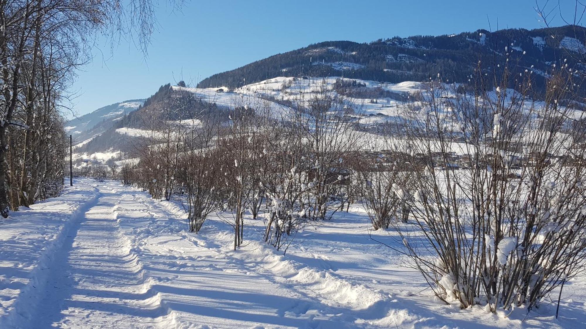 Chalet Am Park Piesendorf Pokój zdjęcie